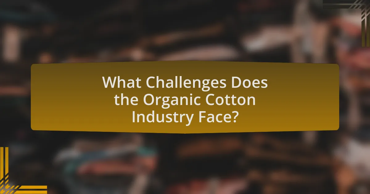 What Challenges Does the Organic Cotton Industry Face?