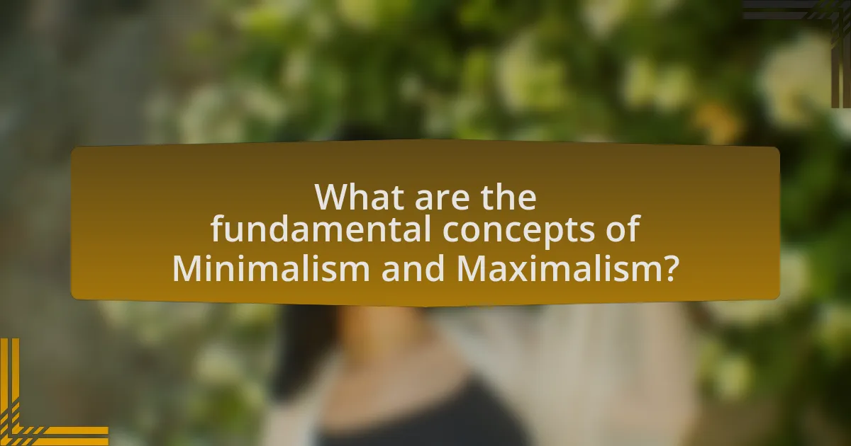 What are the fundamental concepts of Minimalism and Maximalism?