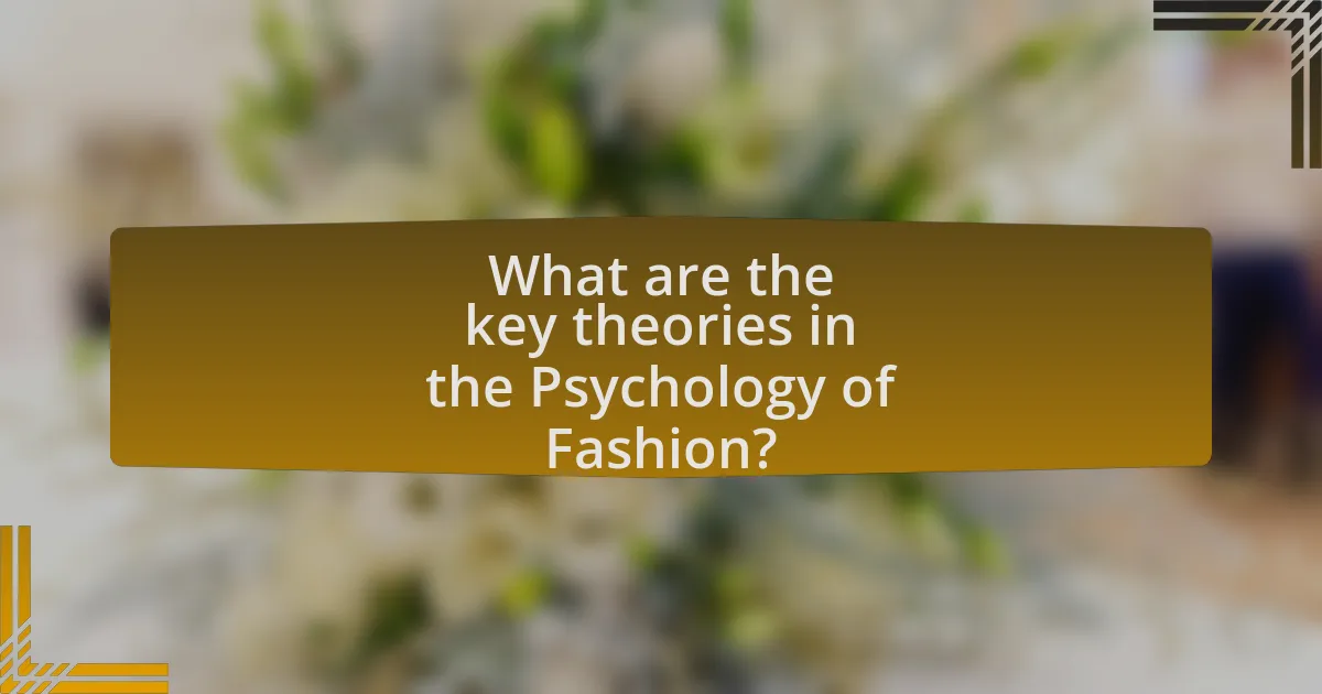 What are the key theories in the Psychology of Fashion?