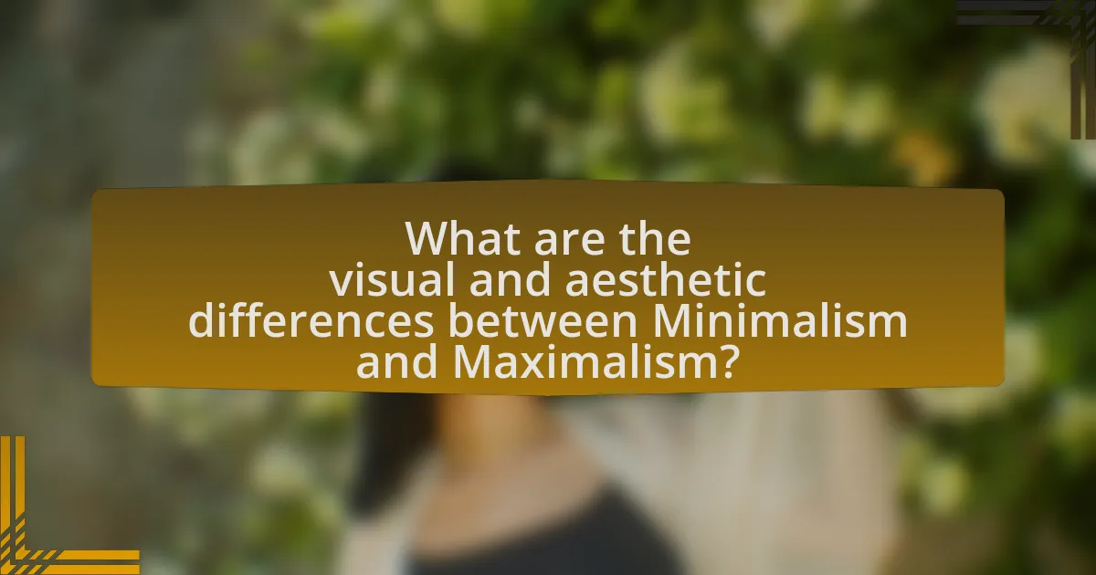 What are the visual and aesthetic differences between Minimalism and Maximalism?