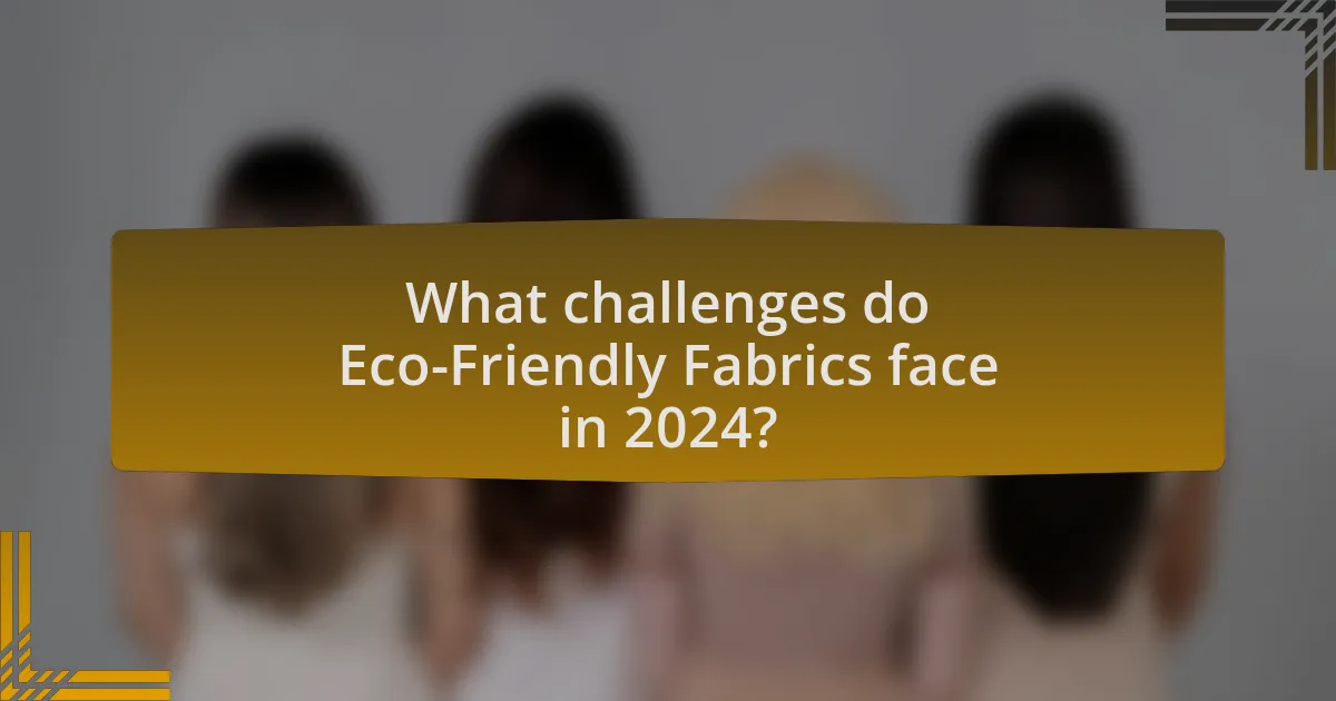 What challenges do Eco-Friendly Fabrics face in 2024?