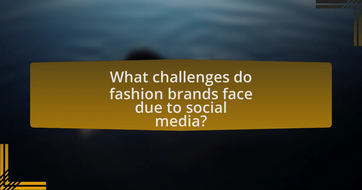 What challenges do fashion brands face due to social media?