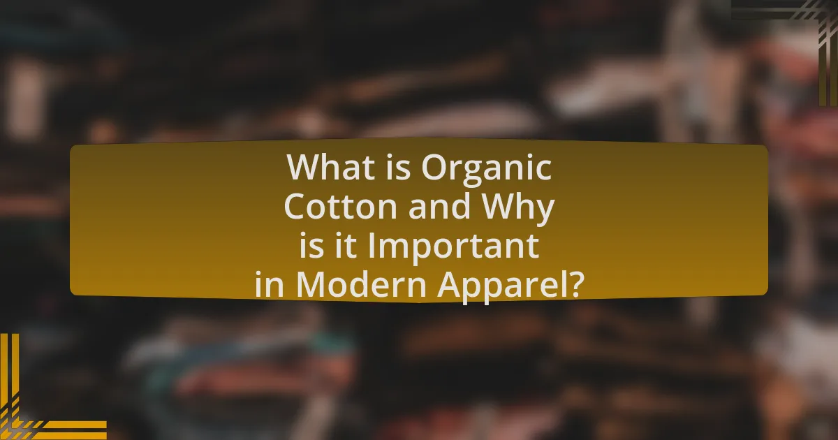 What is Organic Cotton and Why is it Important in Modern Apparel?