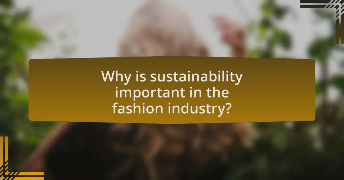 Why is sustainability important in the fashion industry?